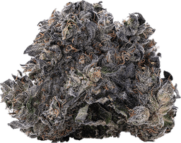 Mnt Diesel