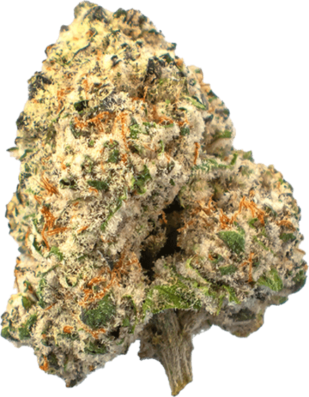 Mod Grps #5